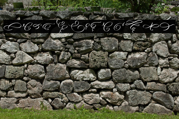 Angella Gardness Swash Example 3