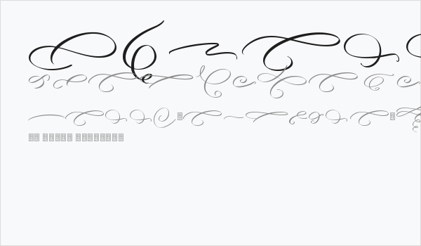 Angella Gardness Swash Business Card