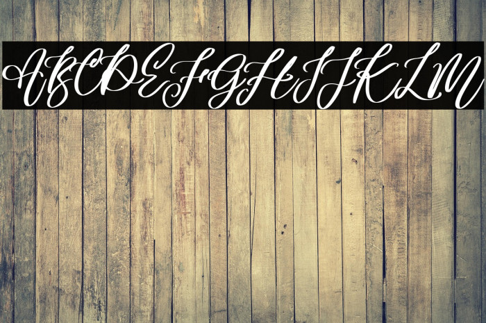 Angella Gardness Example 2