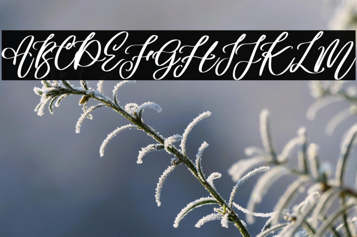 Angella Gardness Example 3