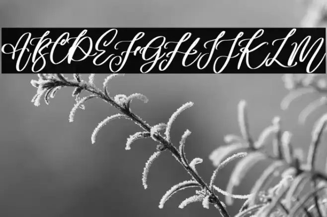 Angella Gardness Font examples