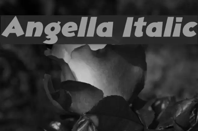 Angella Italic Fonte examples