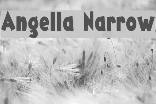 Angella Narrow Font examples