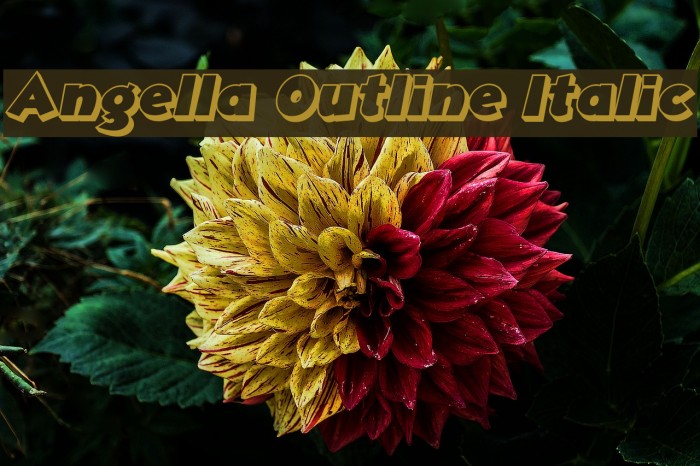 Angella Outline Italic Font examples