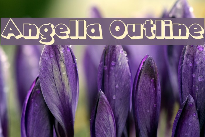 Angella Outline Font examples