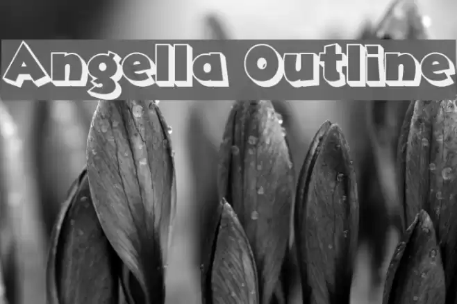 Angella Outline Fonte examples