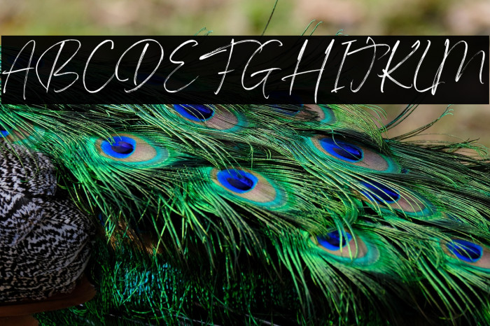 Angella White Personal use font Example 3