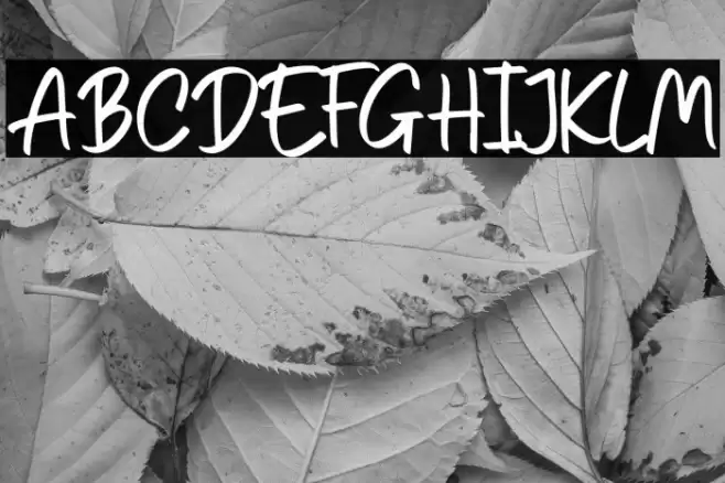 Angellia Font examples