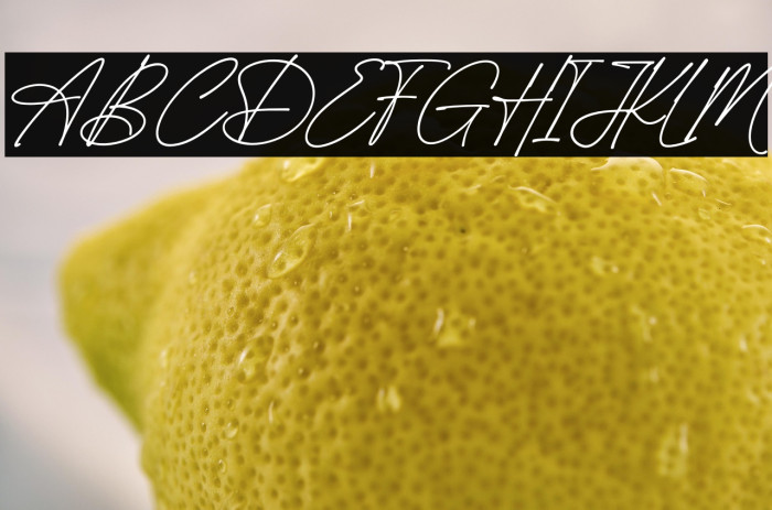 Angellica Signature Example 2