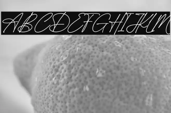 Angellica Signature Font examples