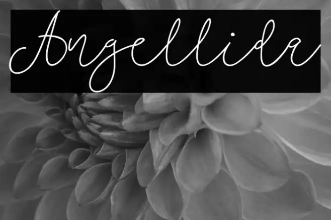 Angellida Font examples