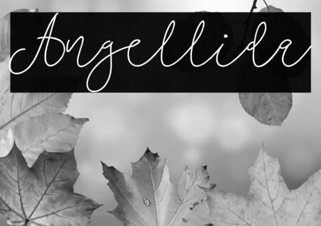 Angellida Font examples