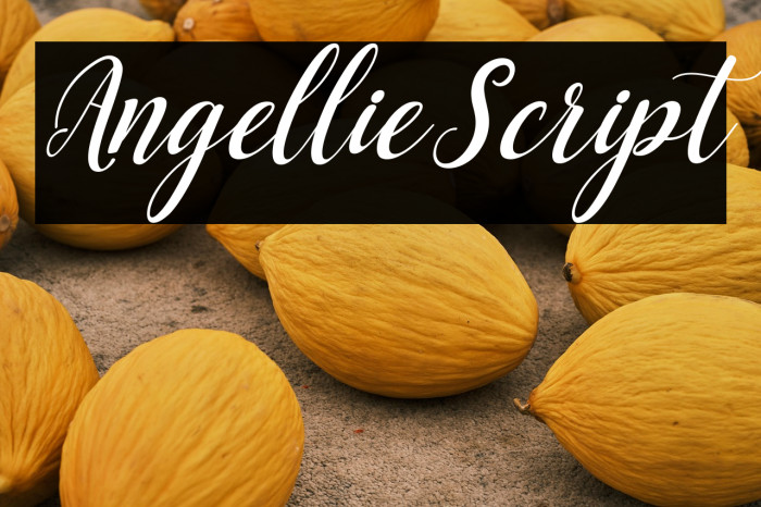 AngellieScript Example 3