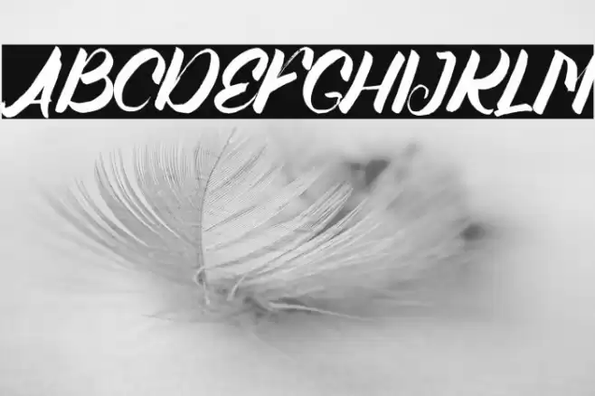 Angellife Font examples