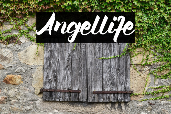 Angellife Example 2