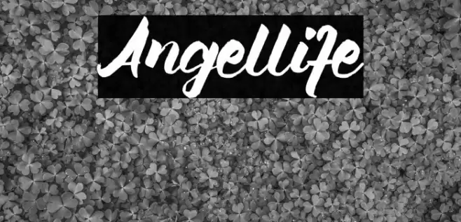 Angellife Font examples