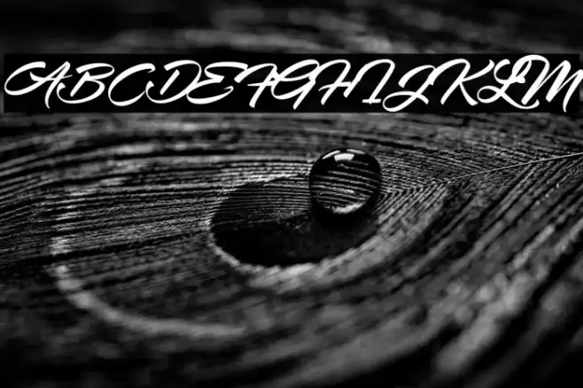 Angellina Font examples