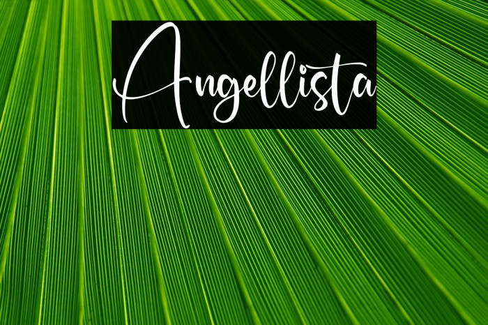 Angellista Example 1