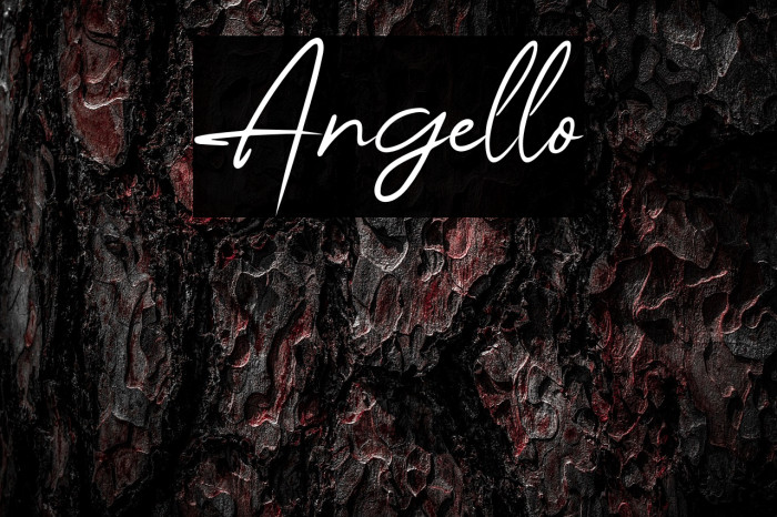 Angello Example 1