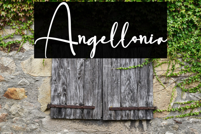 Angellonia Example 1