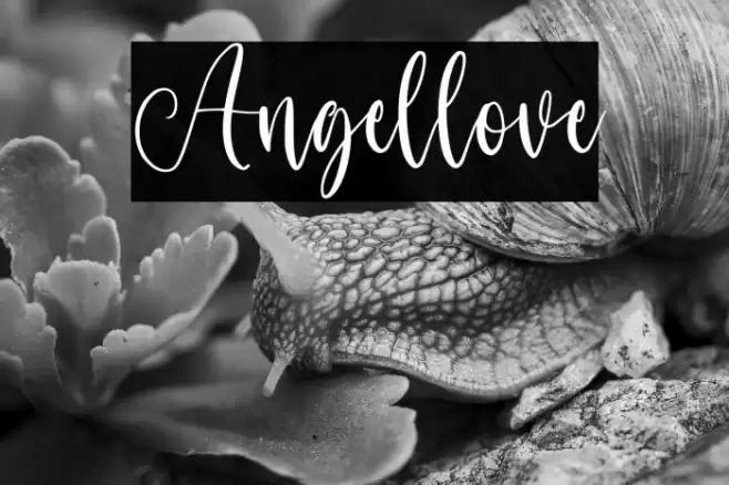Angellove Font examples
