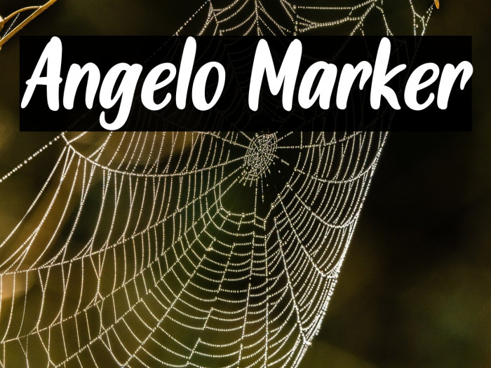 Angelo Marker Example 1