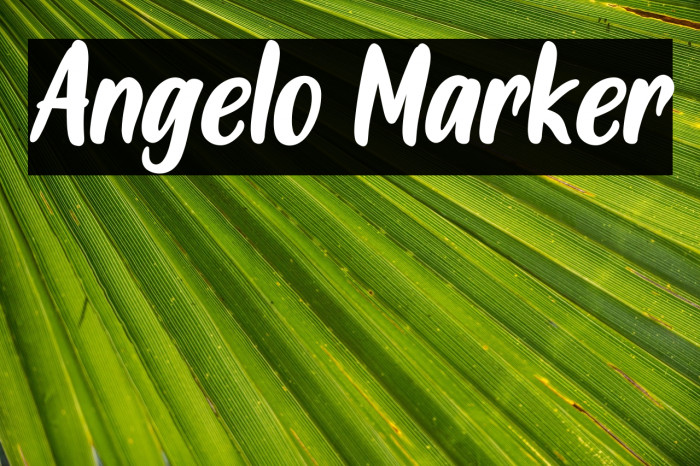 Angelo Marker Example 2