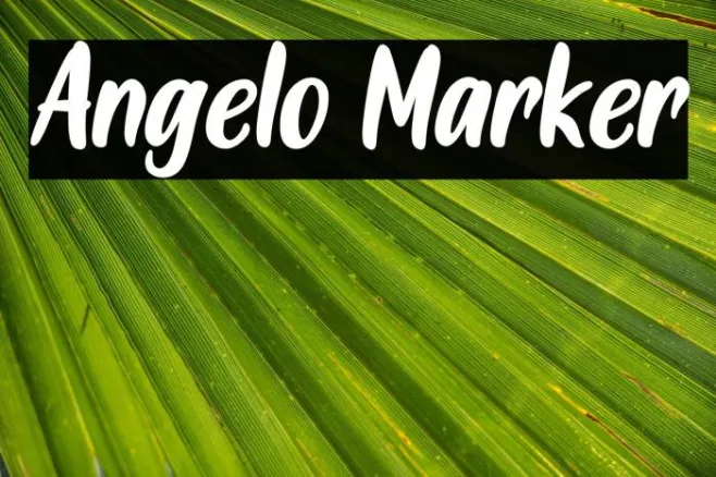 Angelo Marker Example 2