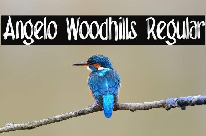 Angelo Woodhills Regular Example 1