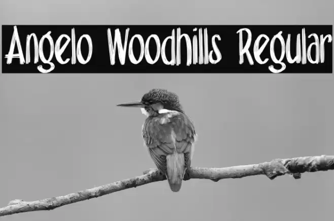 Angelo Woodhills Regular Font examples