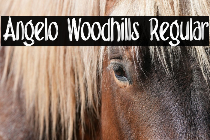 Angelo Woodhills Regular Example 2