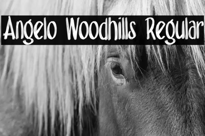Angelo Woodhills Regular Font examples