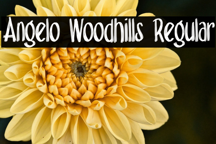 Angelo Woodhills Regular Example 3