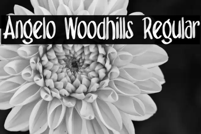 Angelo Woodhills Regular Font examples