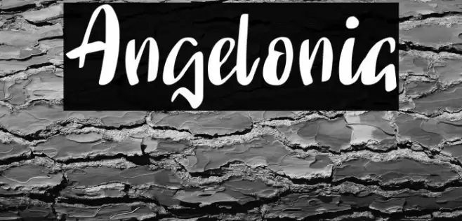 Angelonia Font examples