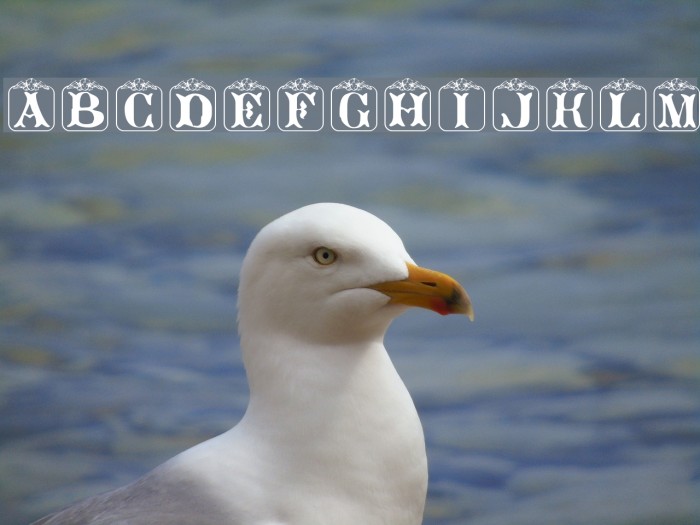 Angelots Font examples