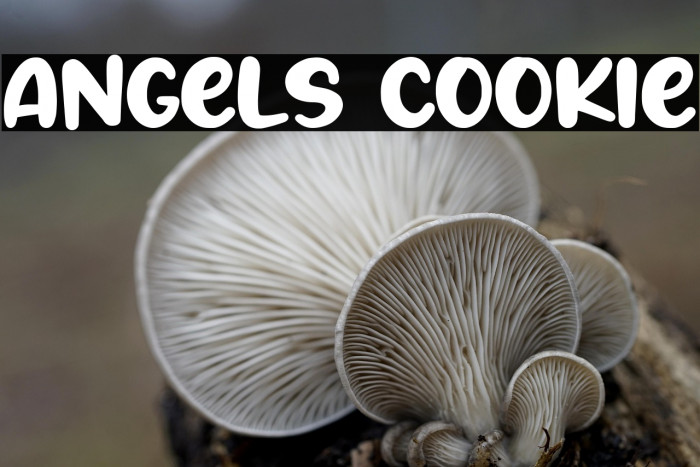 Angels Cookie Example 1