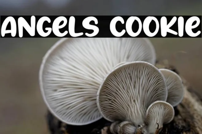 Angels Cookie Example 1