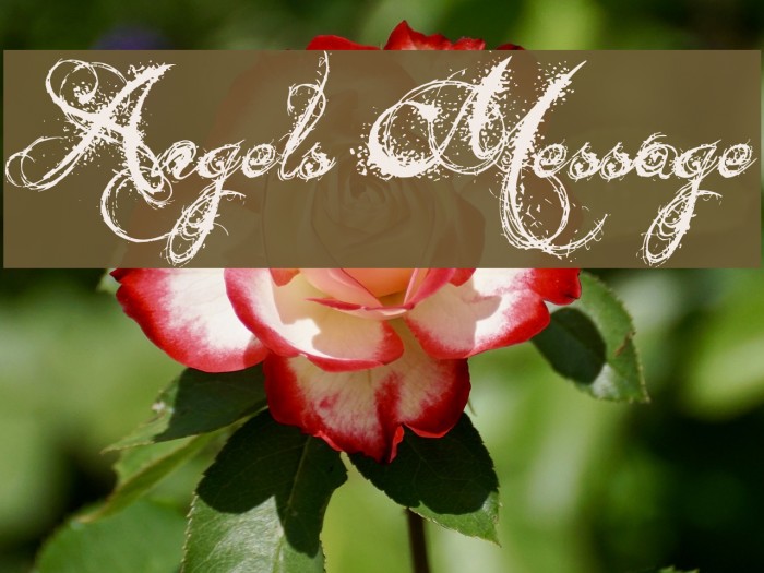 Angels Message Font examples