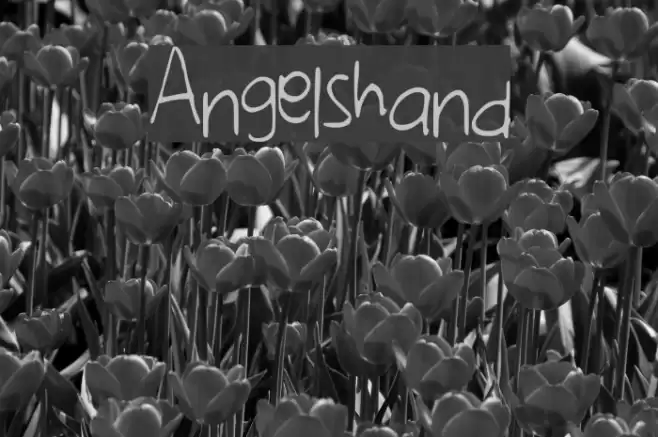 Angelshand Font examples