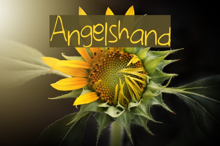 Angelshand Example 2