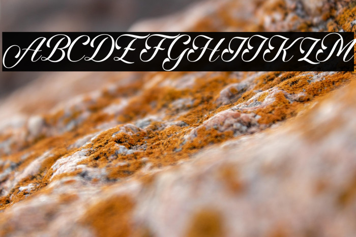 AngeltaScript Example 3