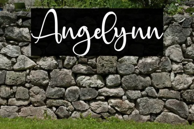Angelynn Example 1