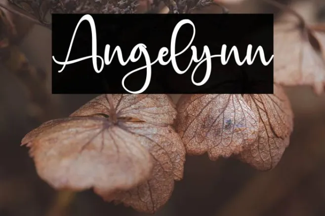 Angelynn Example 3