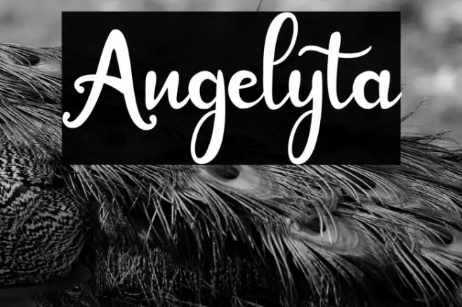 Angelyta Font examples