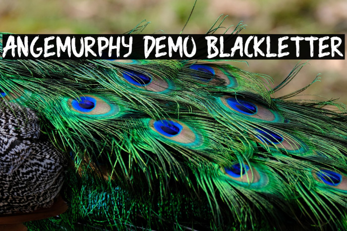 Angemurphy Demo Blackletter Example 2