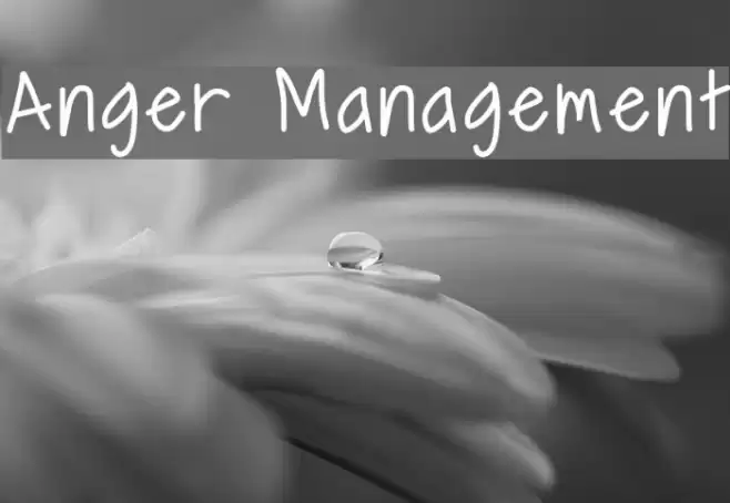 Anger Management  examples