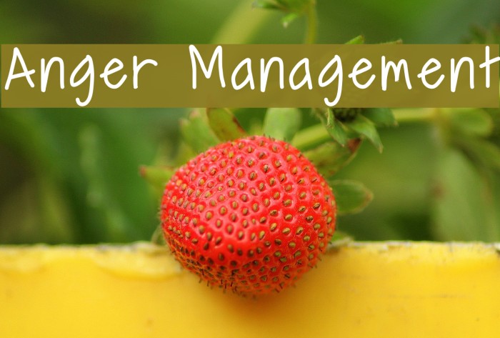 Anger Management Font examples