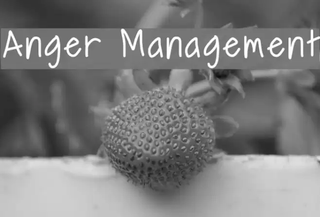 Anger Management  examples