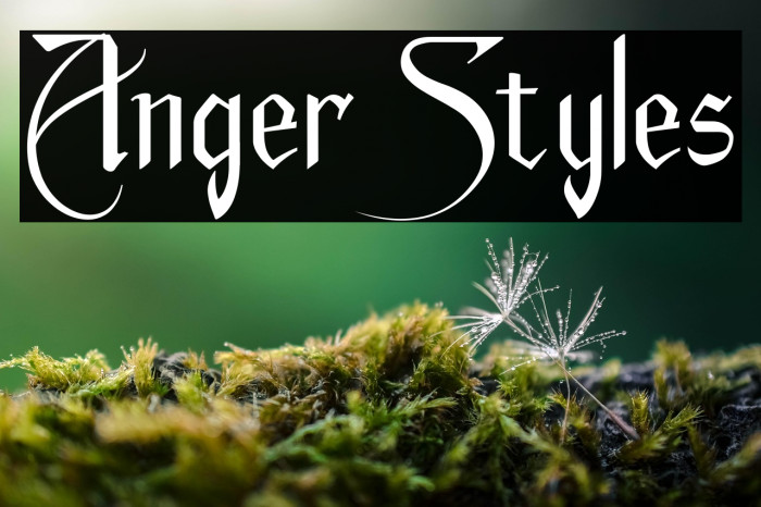 Anger Styles Example 2